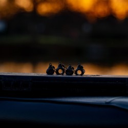 Bait Bomb 10g 2-Pack Frenzee FXT