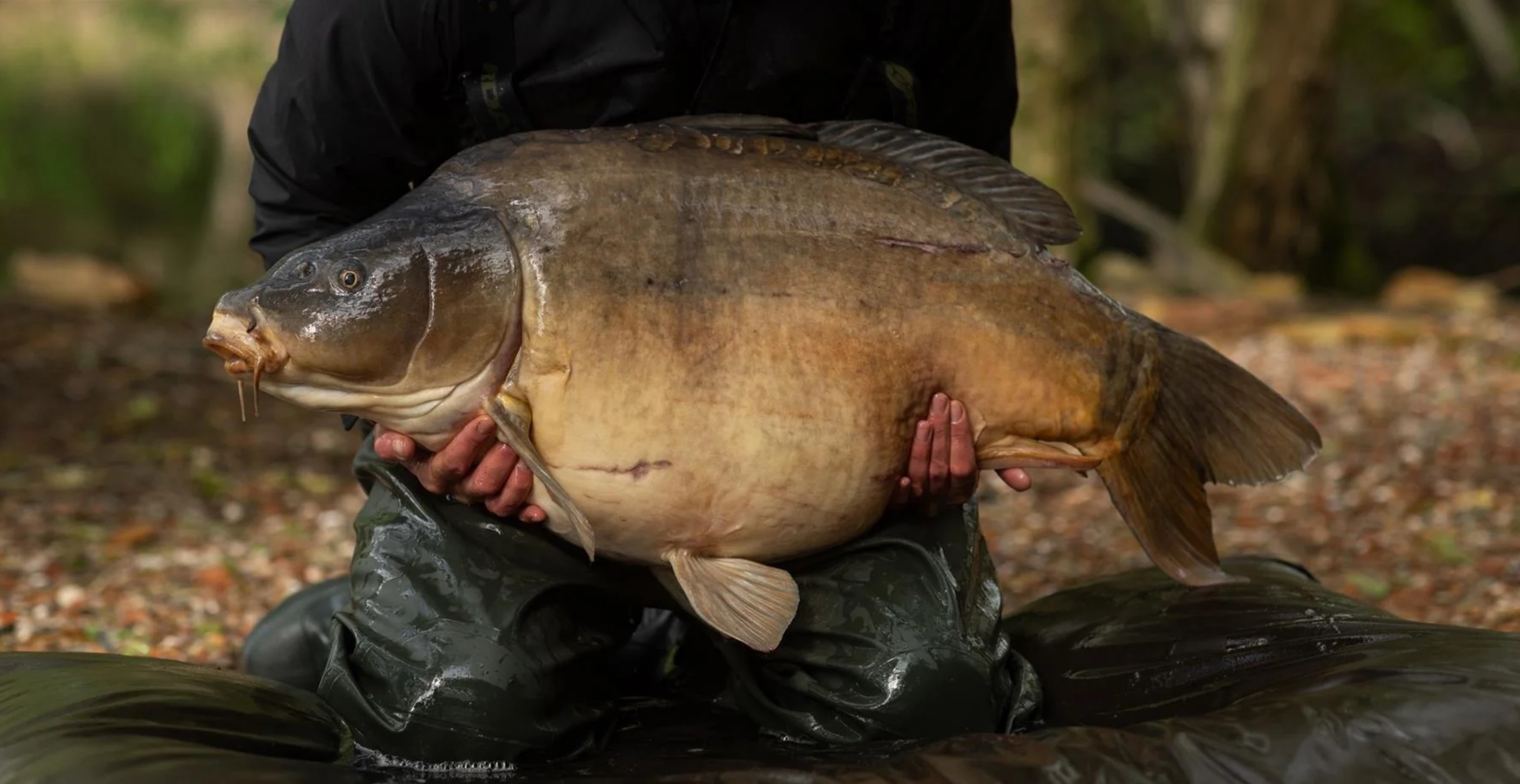 Carp Fishing