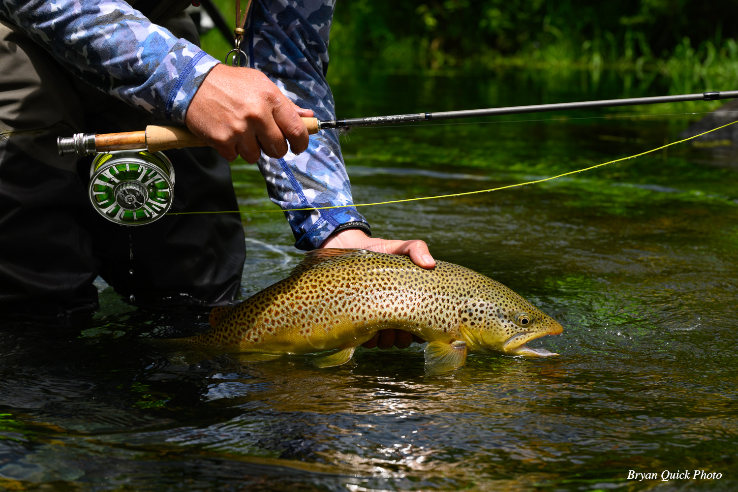 Fly Fishing