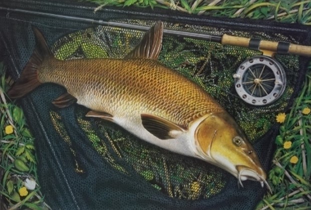 Specialist/River Fishing